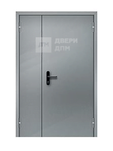 Противопожарная дверь для ТЦ с антипаникой ДП-303